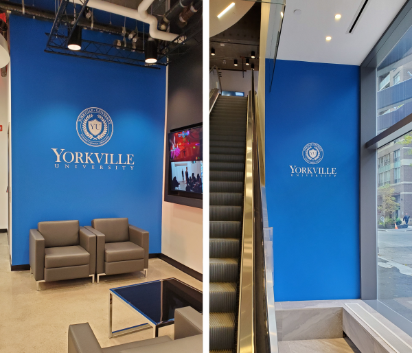 Single Color Vinyl Cut out letters